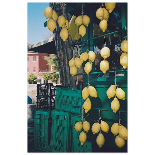 1f369ec2-f472-42d6-90b5-5a00c105e0a0