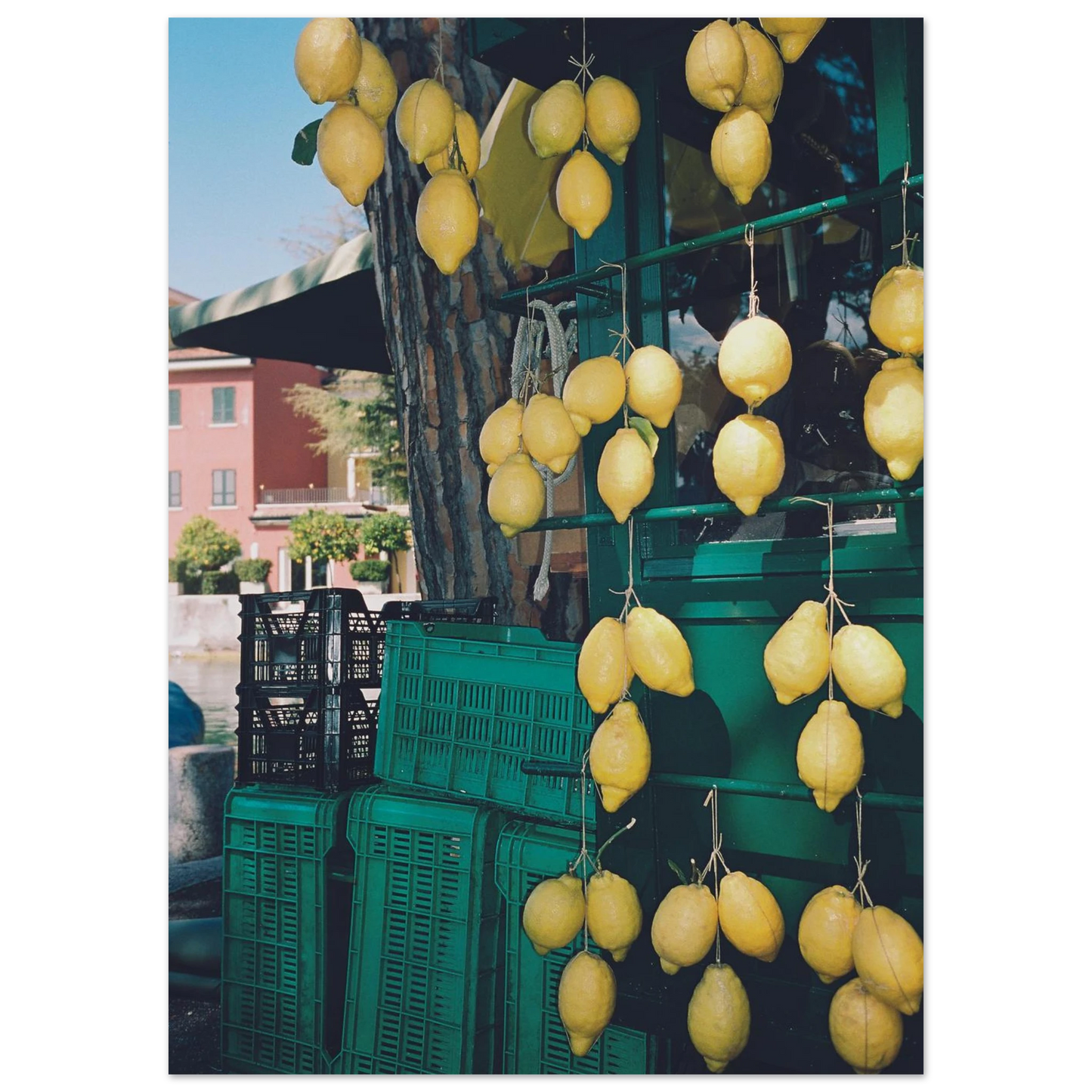 48a83345-c7f4-4014-a648-f4f4d0635183