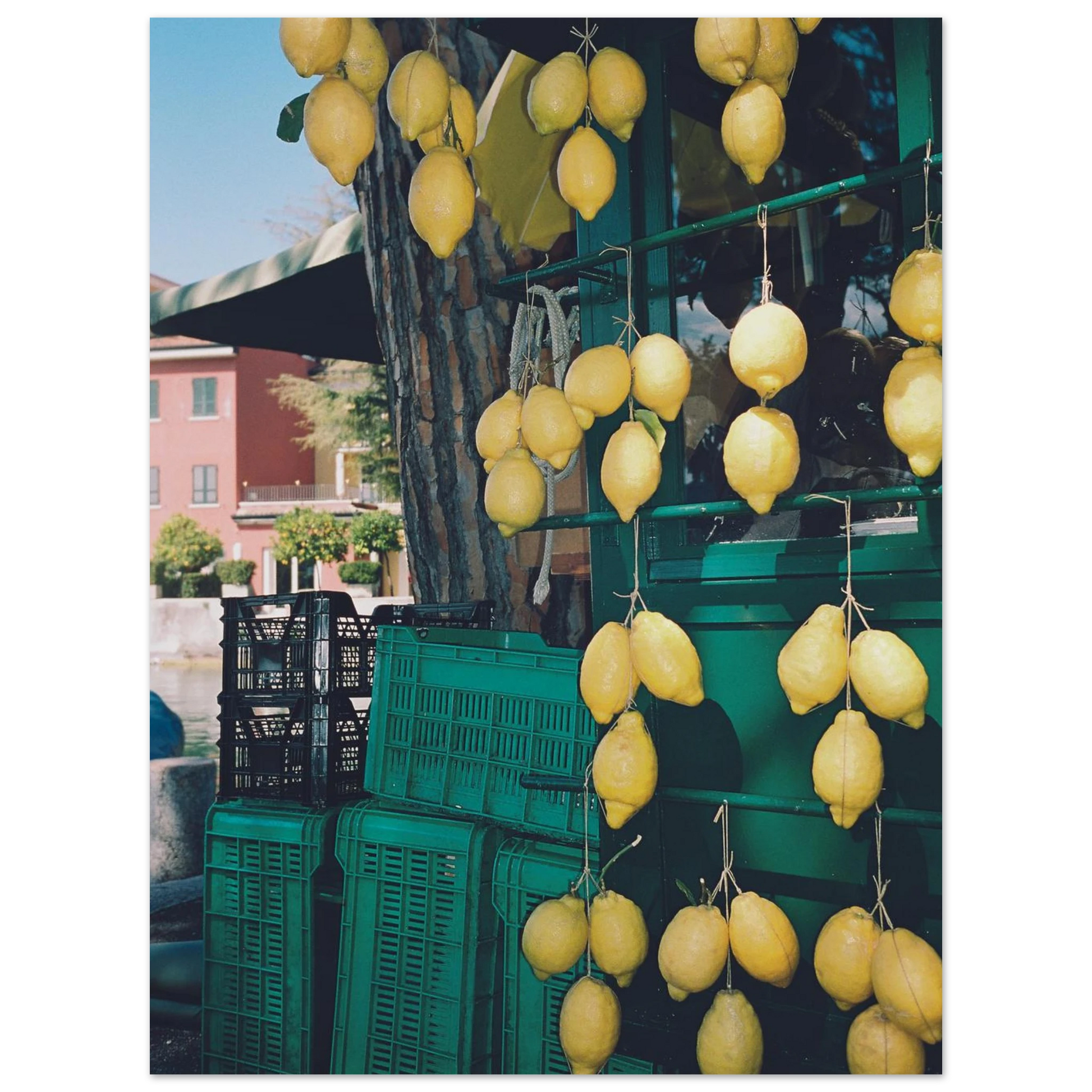 7a383b26-80af-4788-8638-05edd6a47427