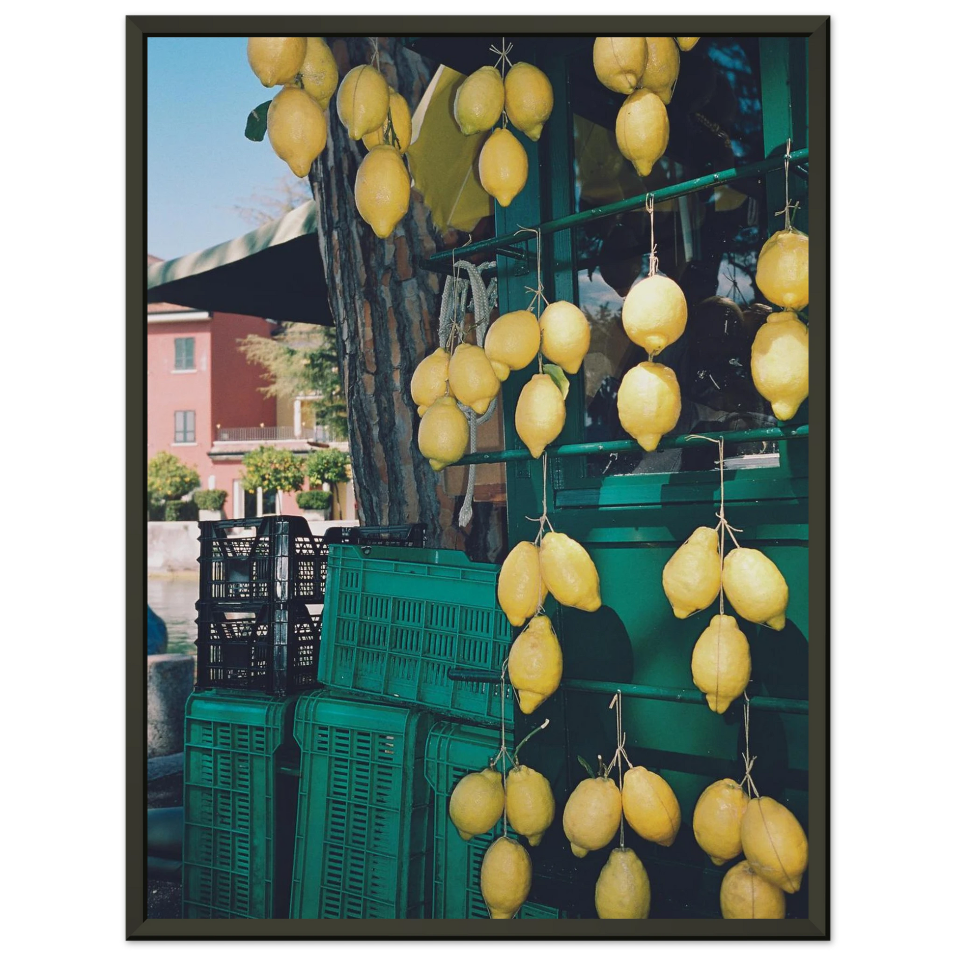 ba5b05ef-1844-4931-b7b7-d3f767ecb9b6